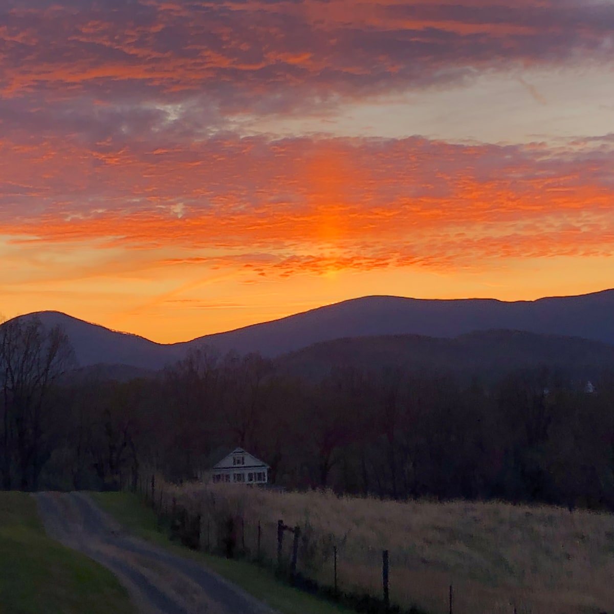 The Coop (Farm House in Hume, VA)