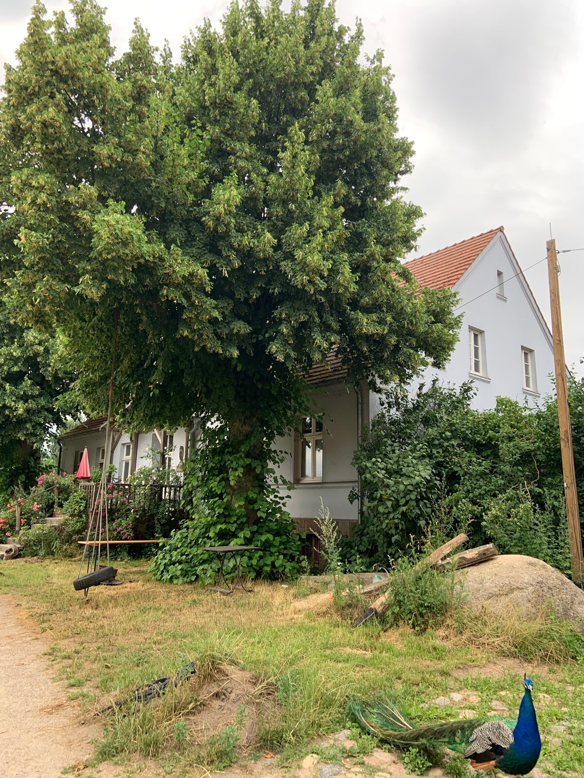 Bauernhof Kirchengut Strellin