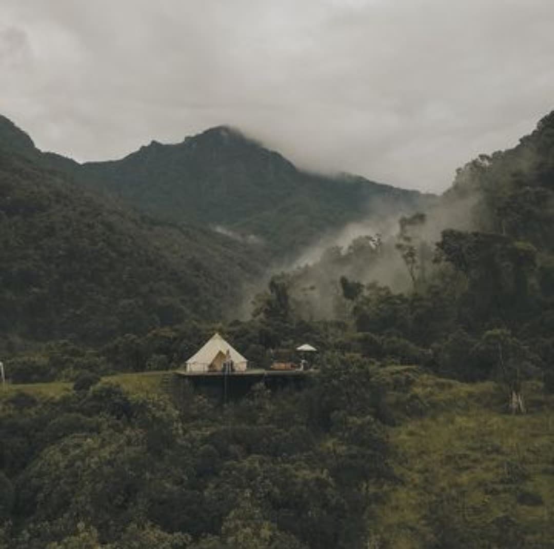 Una aventura en el Bosque