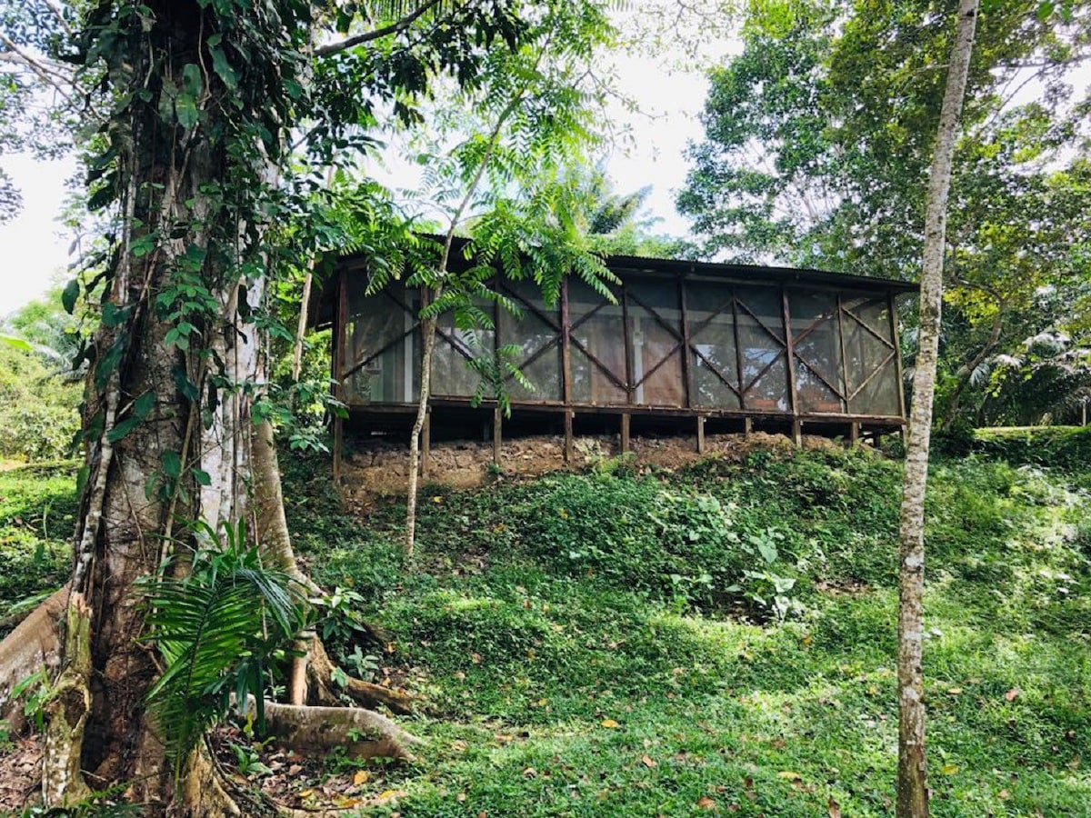 Vista al Rio Amazonas Eco Hotel Aldea