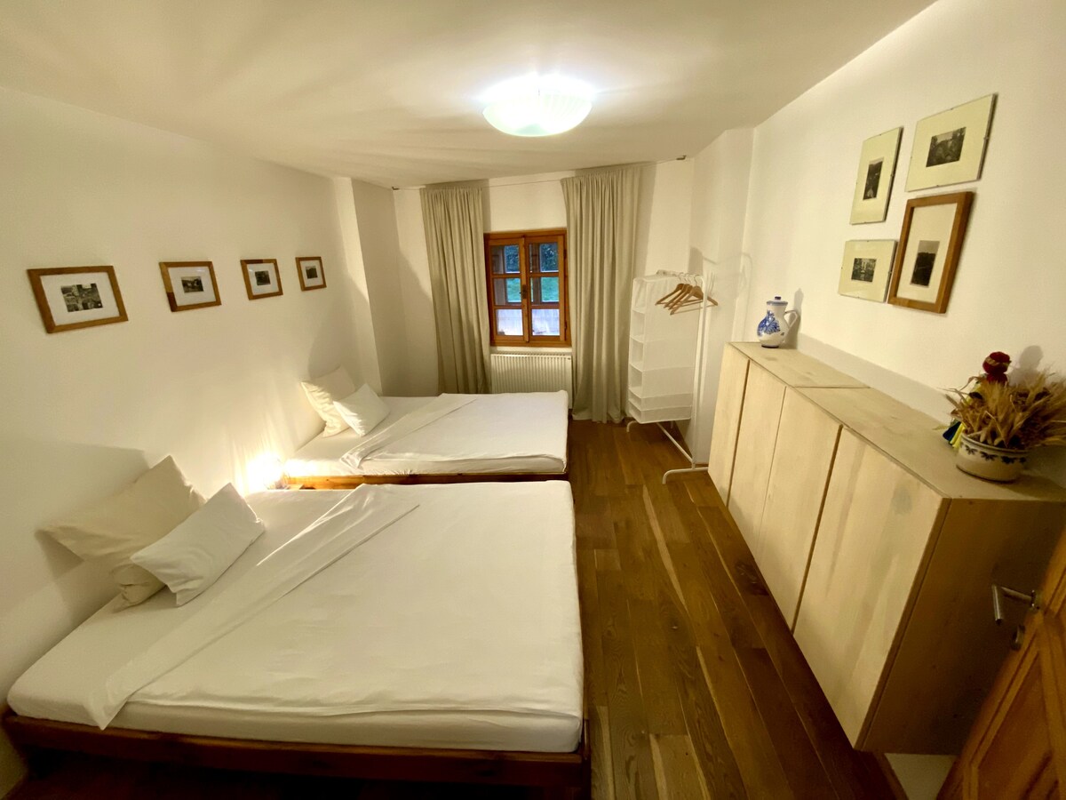 Apartment No. 59 Loket (room 3)