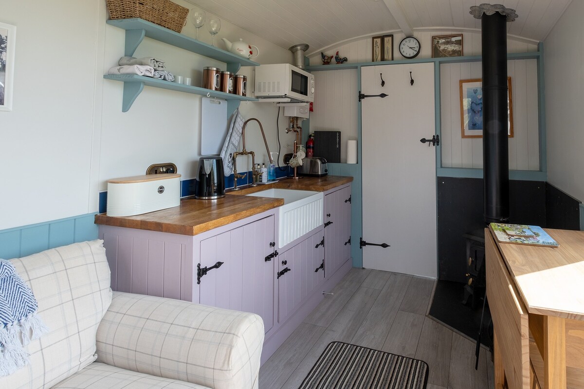 Aberaeron Shepherd 's Hut