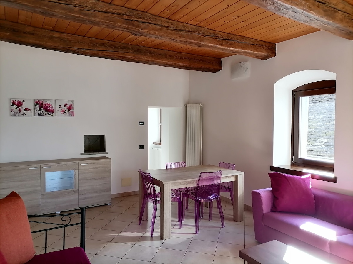公寓，在一栋乡村风格的房子里，「Il Torchio」。