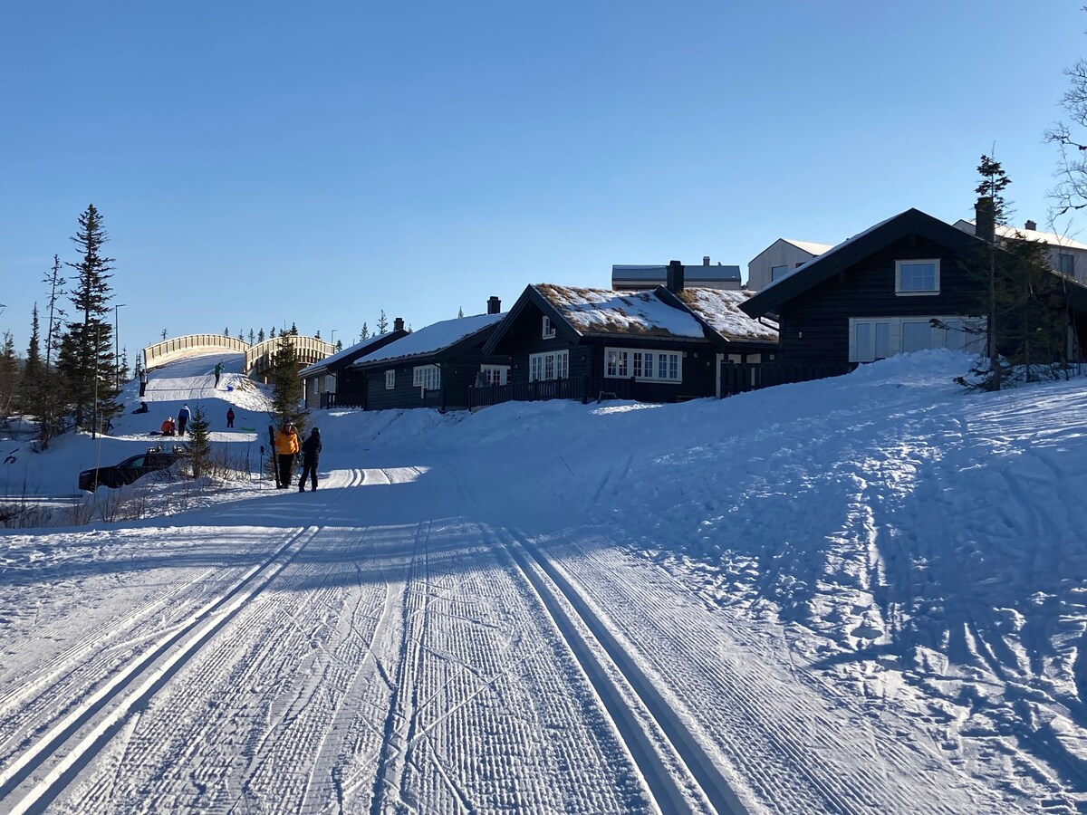 地理位置优越，滑雪进出新小木屋Gaustablikk
