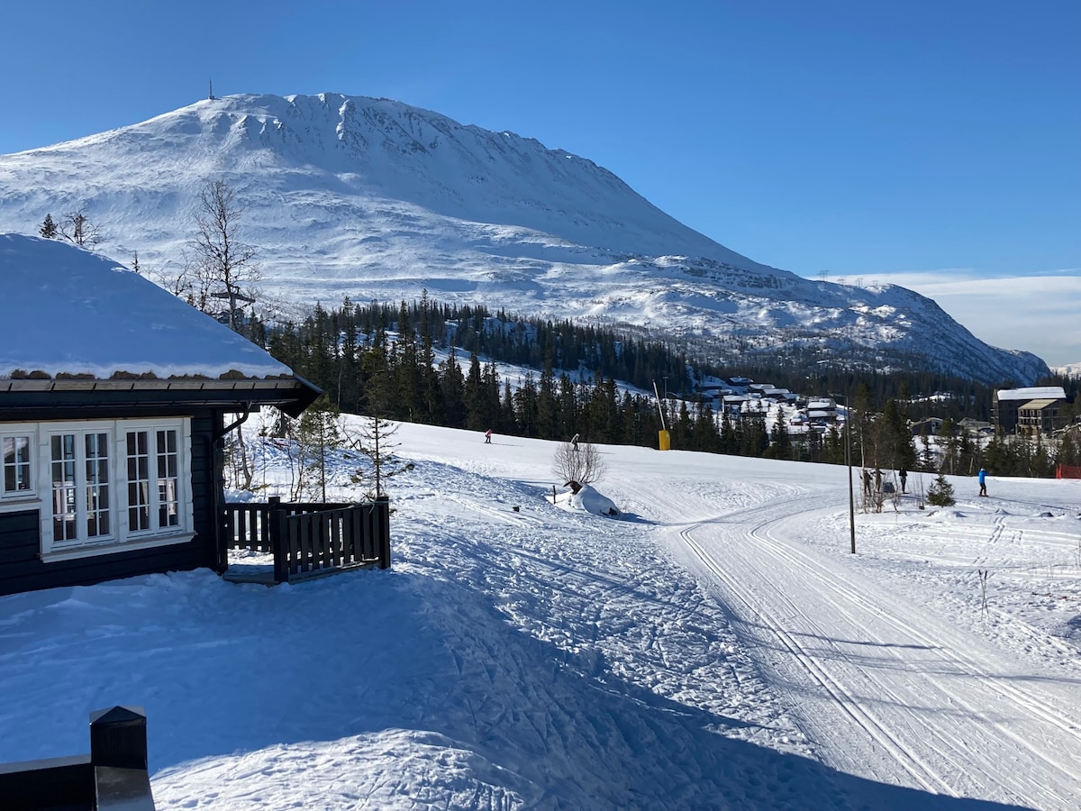 地理位置优越，滑雪进出新小木屋Gaustablikk