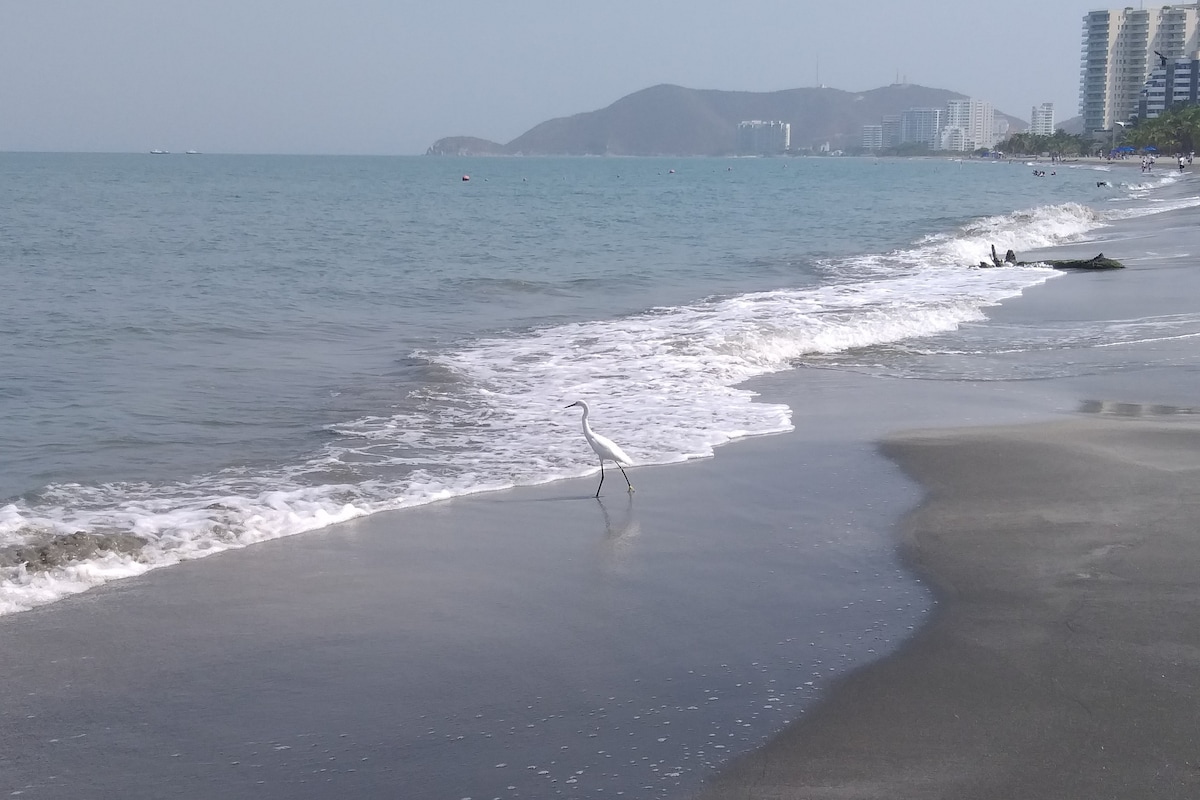 公寓距离海滩和C.C. Zazué仅几步之遥。