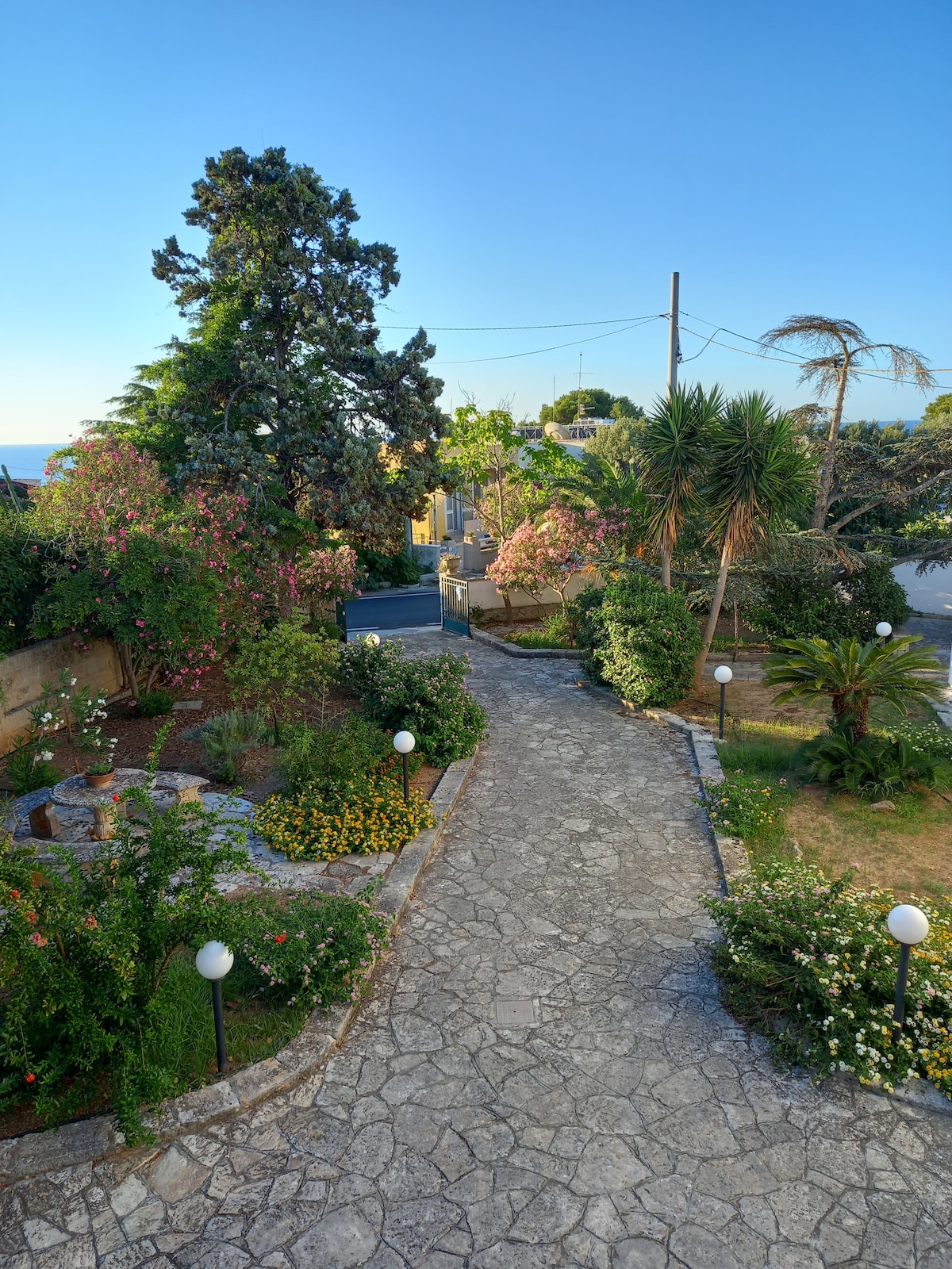 Bougainvillea Residence