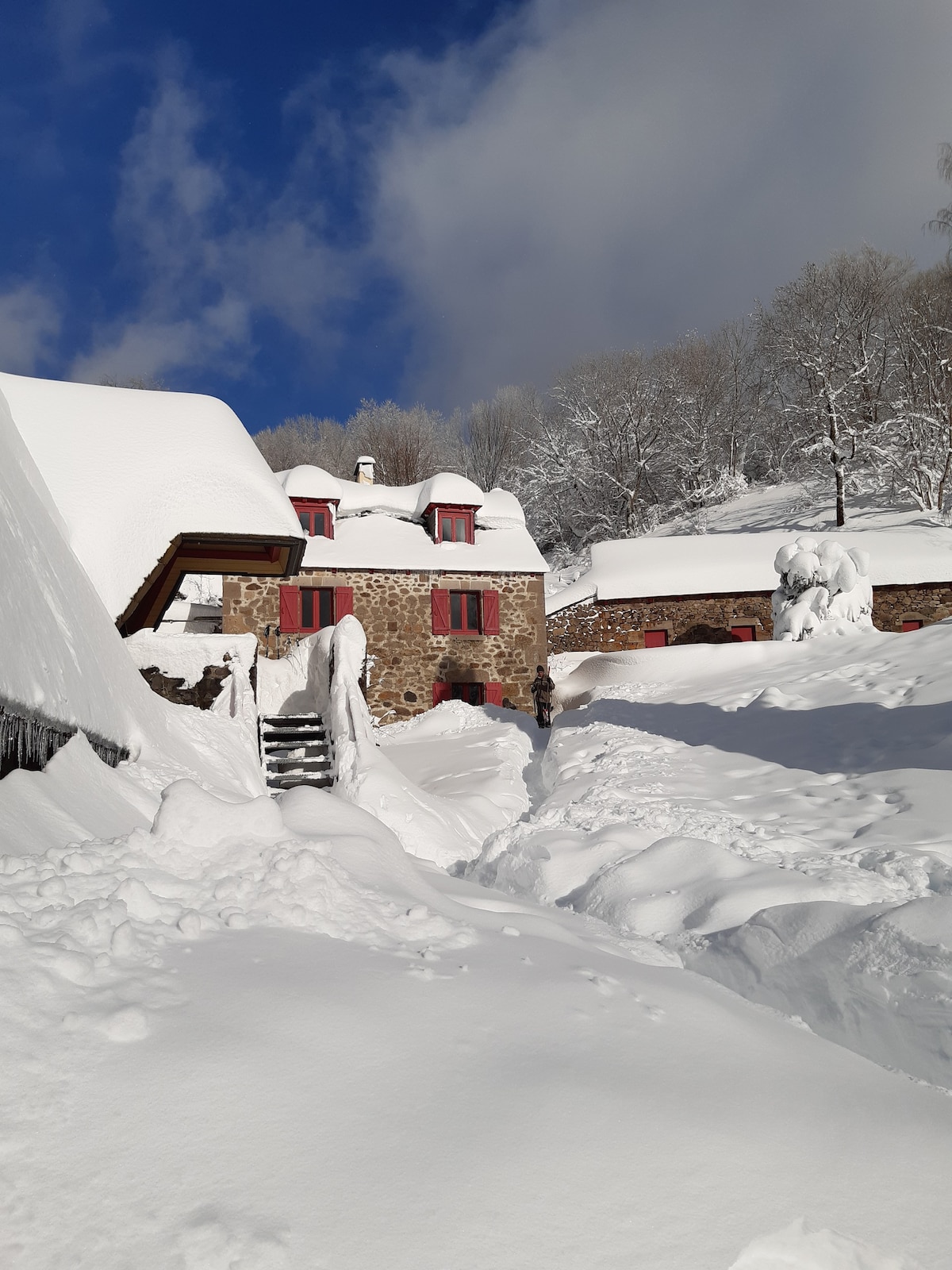 Gîte montagne Cantal 6 p Le Lioran