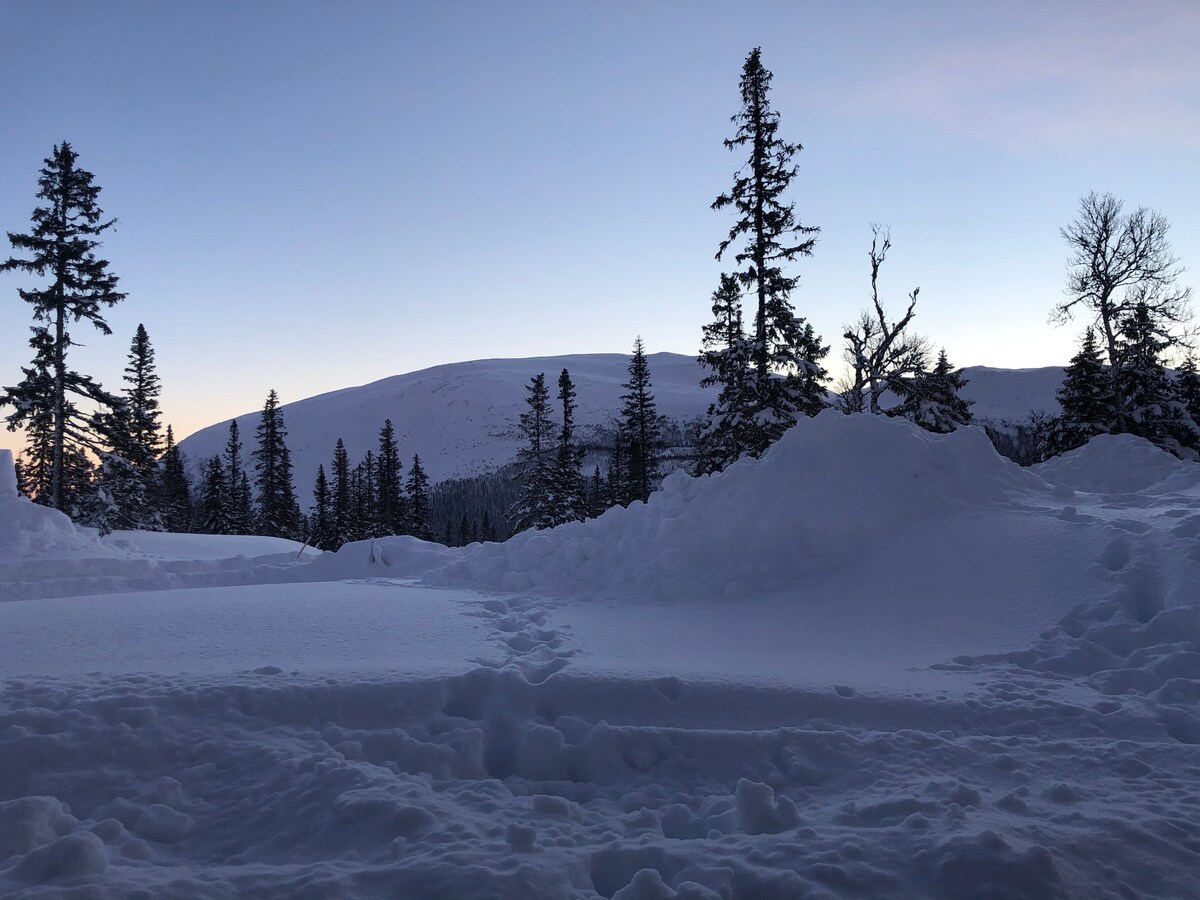 位于拜达伦（ Bydalen ）的新山间小屋，有滑雪进出。