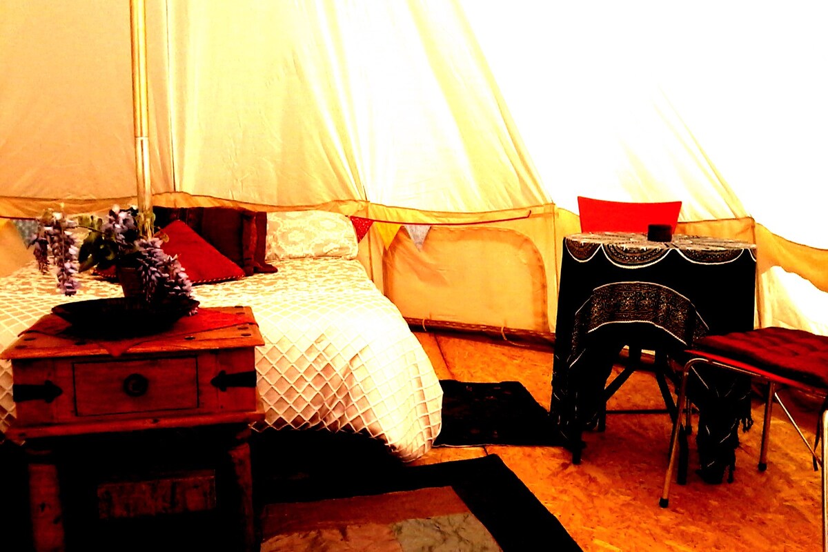 豪华露营帐篷~时尚营地，与众不同