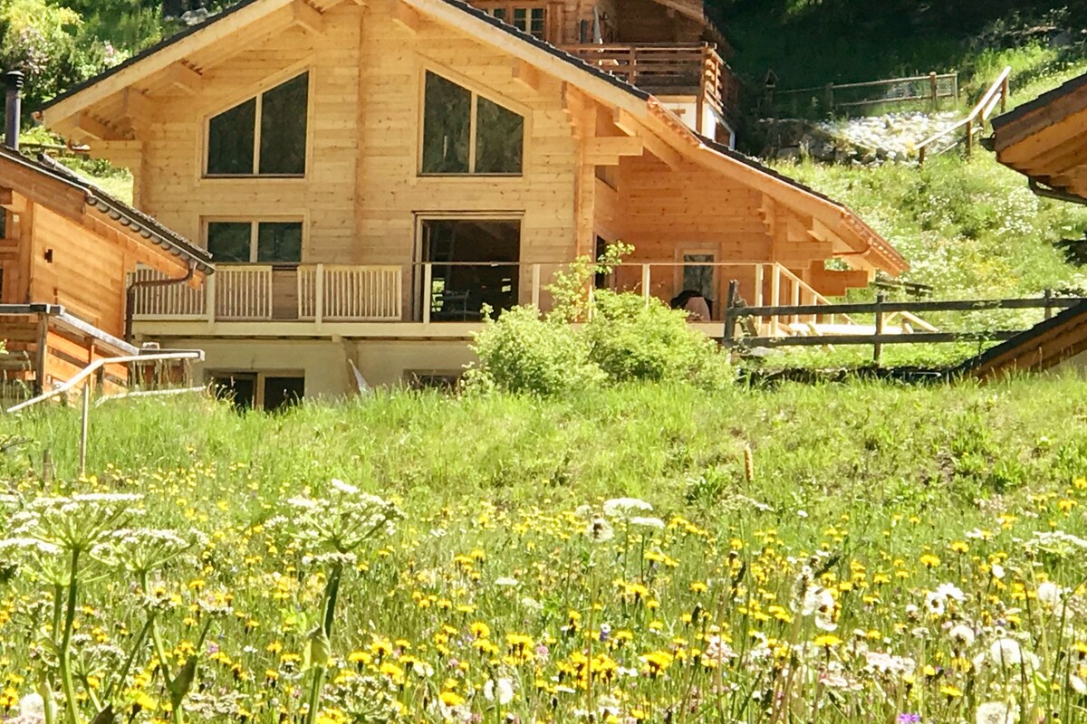 One bedroom garden apartment in chalet