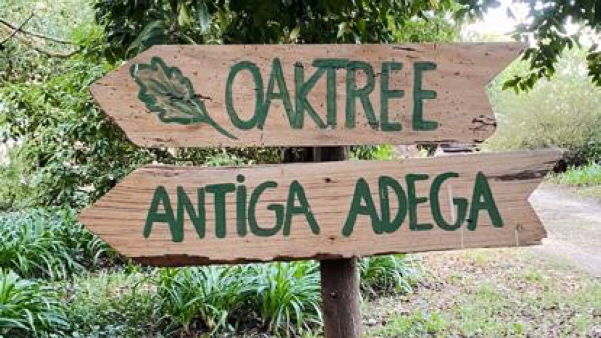 Oak Tree House - Quinta das Lamas - Vouzela