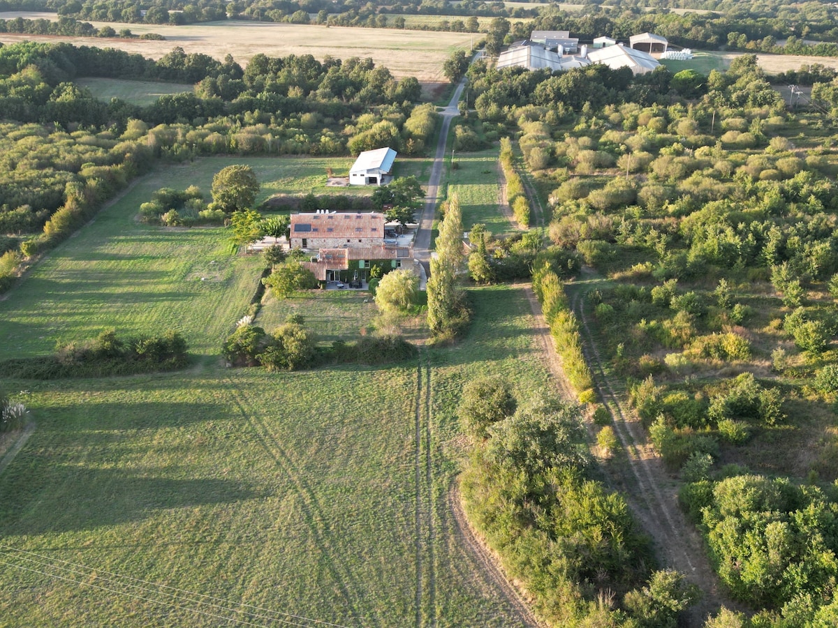 Le Village du Bois: The East Light