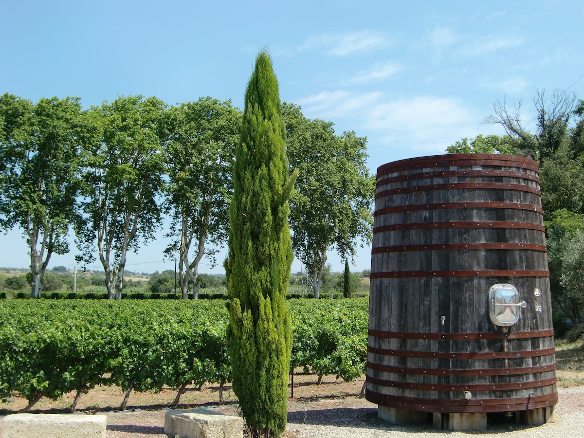 The Barrels: wine oriented holidays for 6 guests