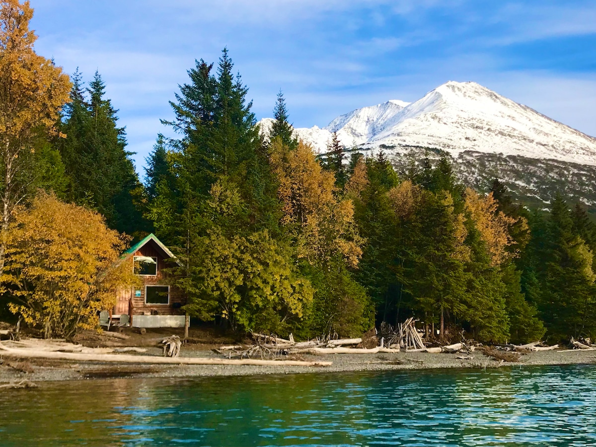 Renfro 's Lakeside Retreat Cabins