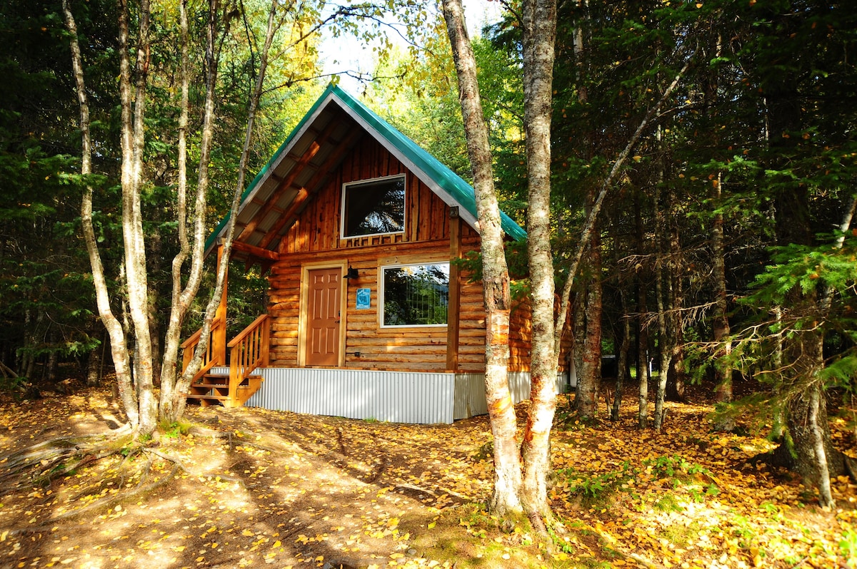 Renfro 's Lakeside Retreat Cabins