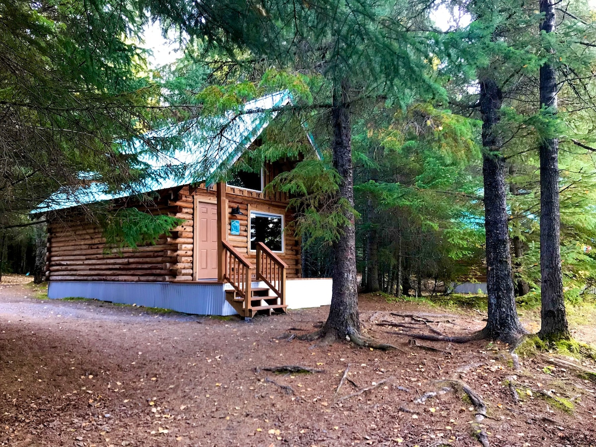 Renfro 's Lakeside Retreat Cabins