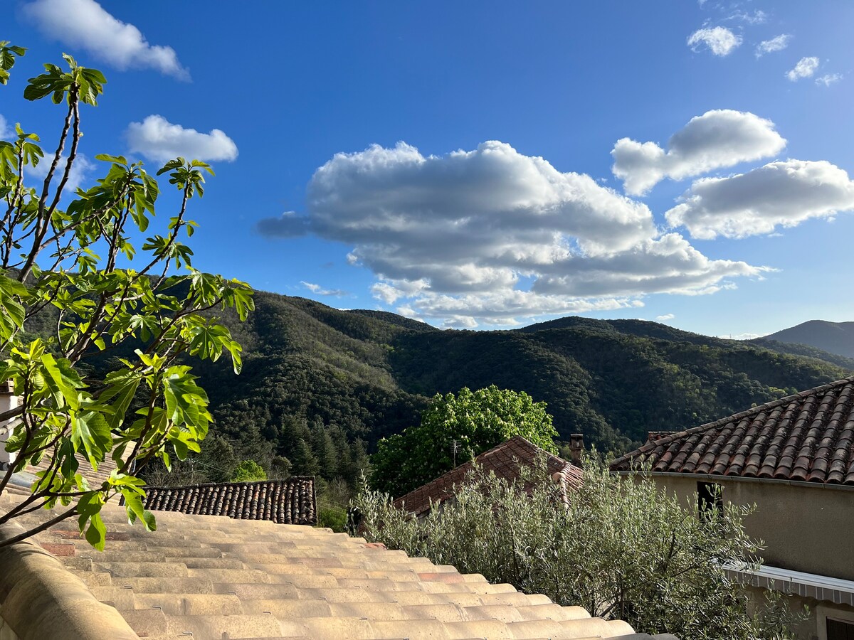 Les terrasses de l'Euzière