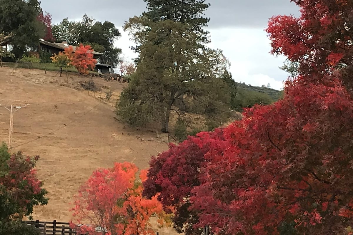 山顶房源，可欣赏全景