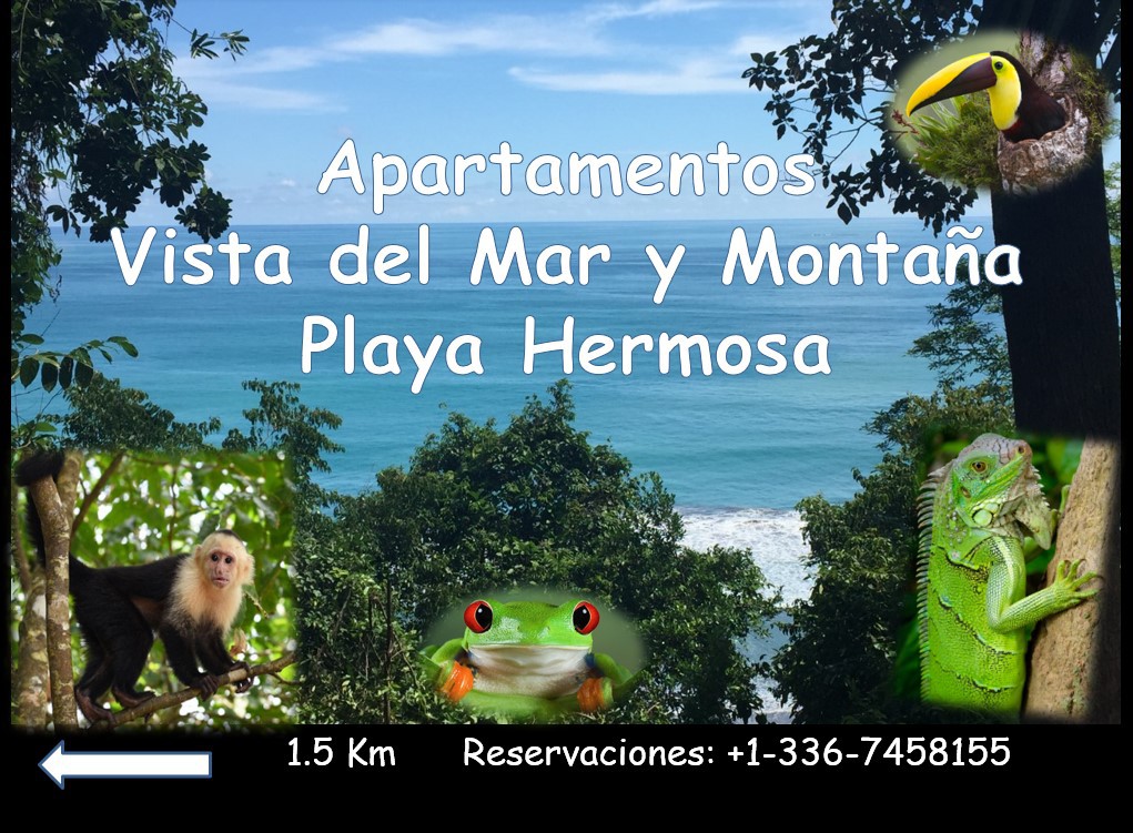 Apartamentos Vista Del Mar and Montaña Playa Hermosa