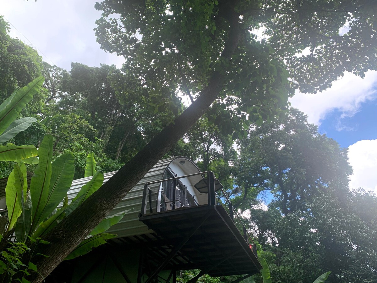 浪漫的树顶圆顶屋小木屋，大自然，景色迷人