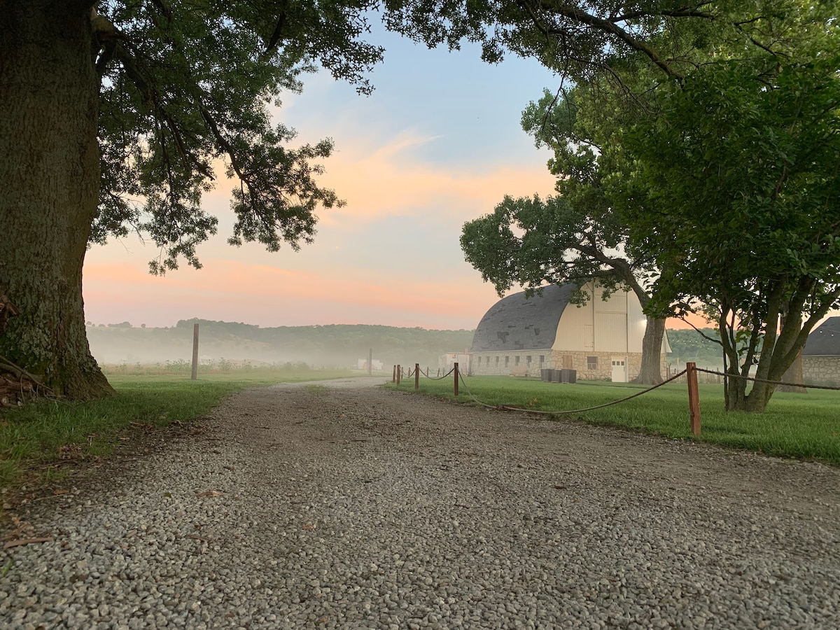 Kane Family Farm