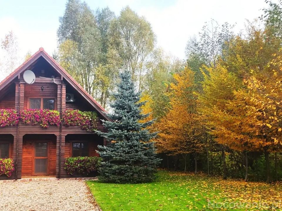 舒适的湖畔木屋（ Lakeside Wooden House ） ，位于自己的土地上