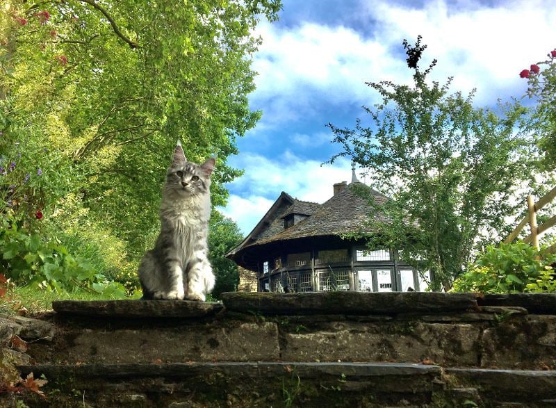 Bed & Breakfast à Rochefort-en-Terre