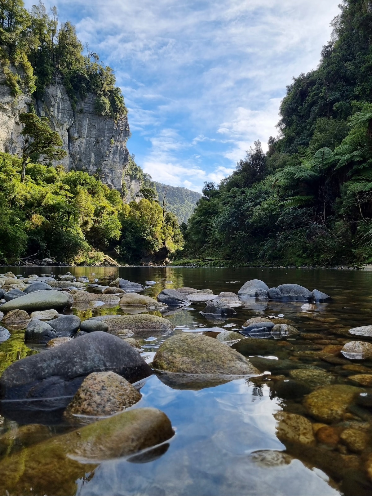 普纳凯基（ Punakaiki ）宁静之旅（免费无线网络）