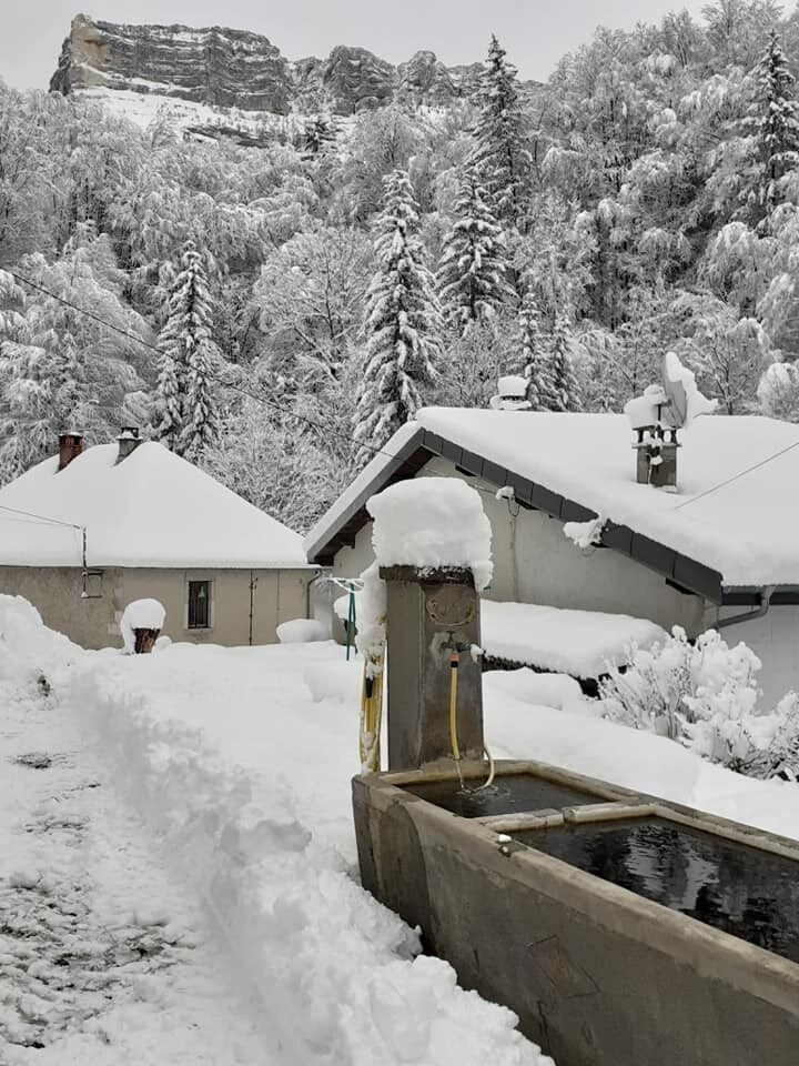 Savoie、Chartreuse、Entremont le vieux。