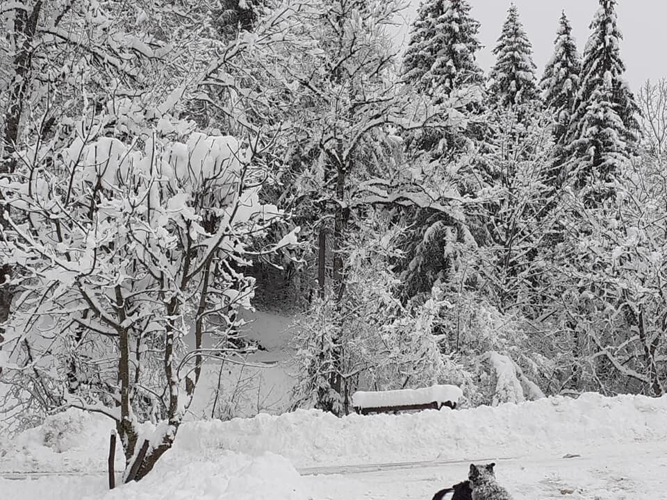 Savoie、Chartreuse、Entremont le vieux。