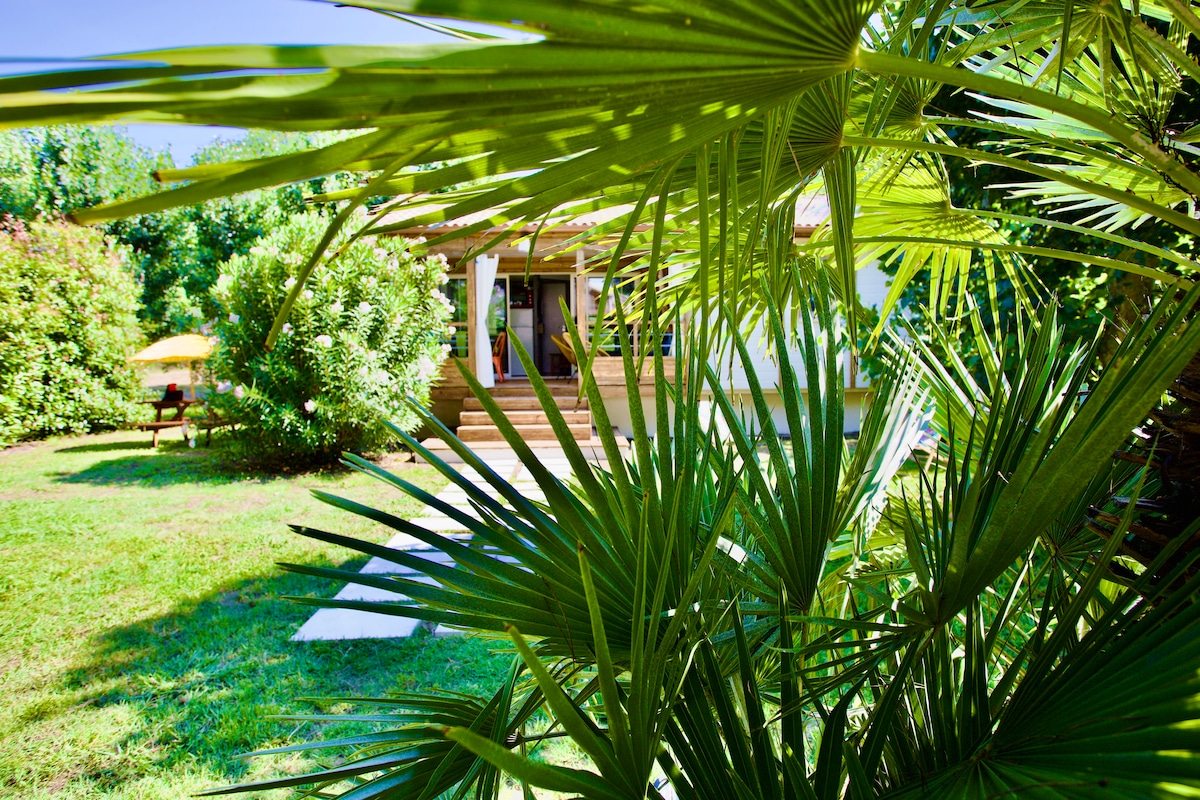 🌴🌴 ☀️ Campo Vecchio Sole & Piscine