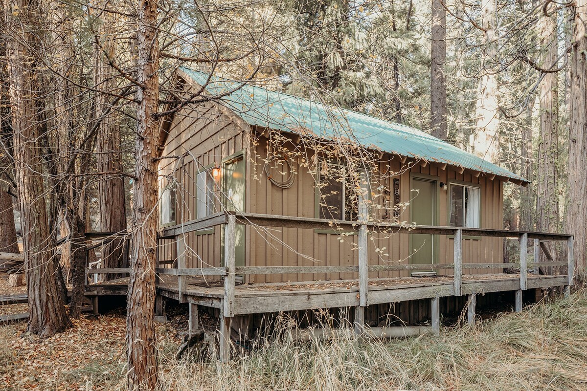森林中的小木屋，临近拉森国家公园