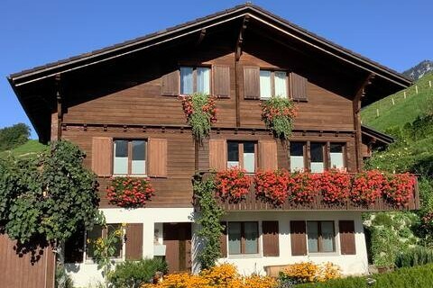 Heidi的瑞士之家，靠近山脉和湖泊