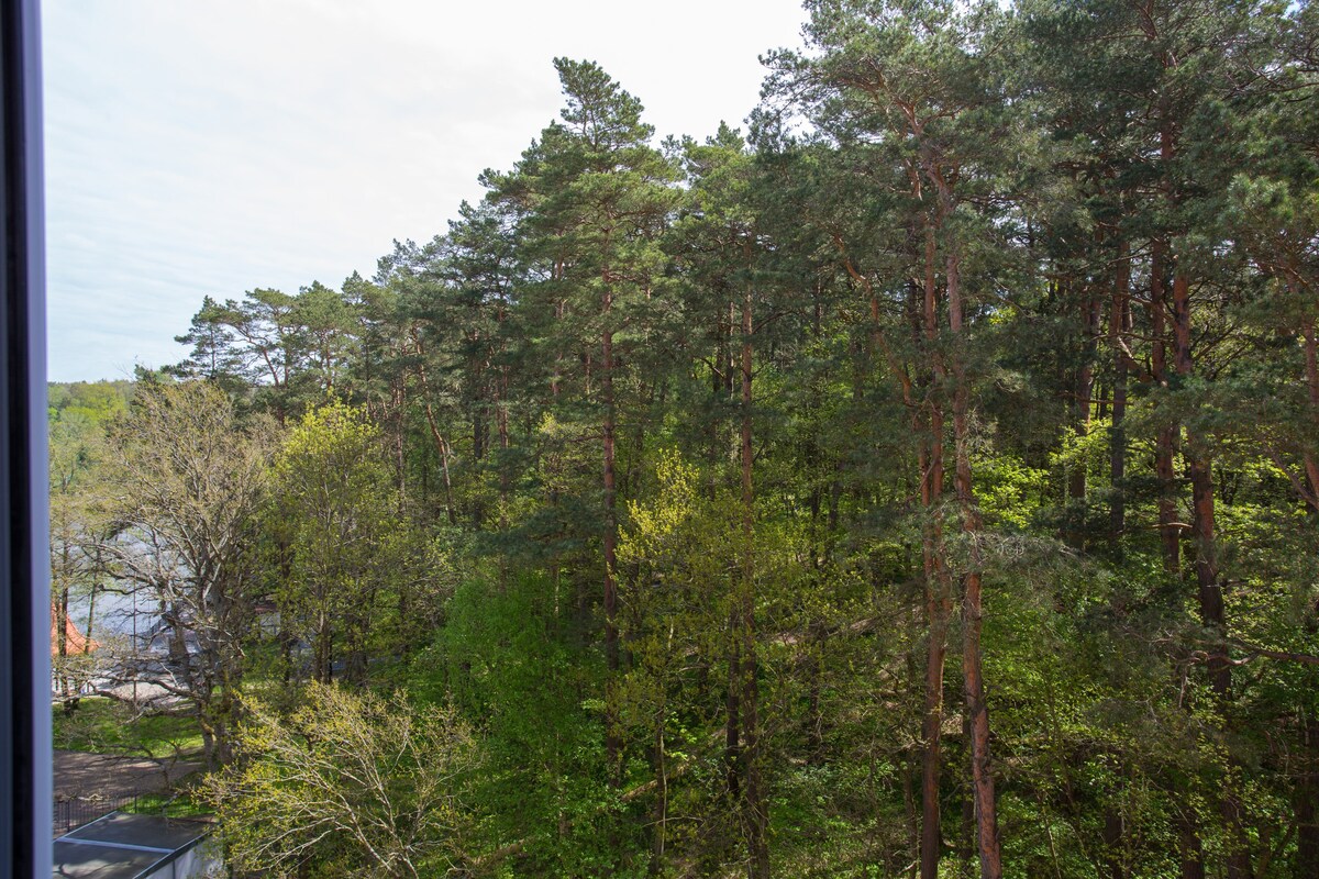 Апартаменты АВРОРА с видом на лес и озеро