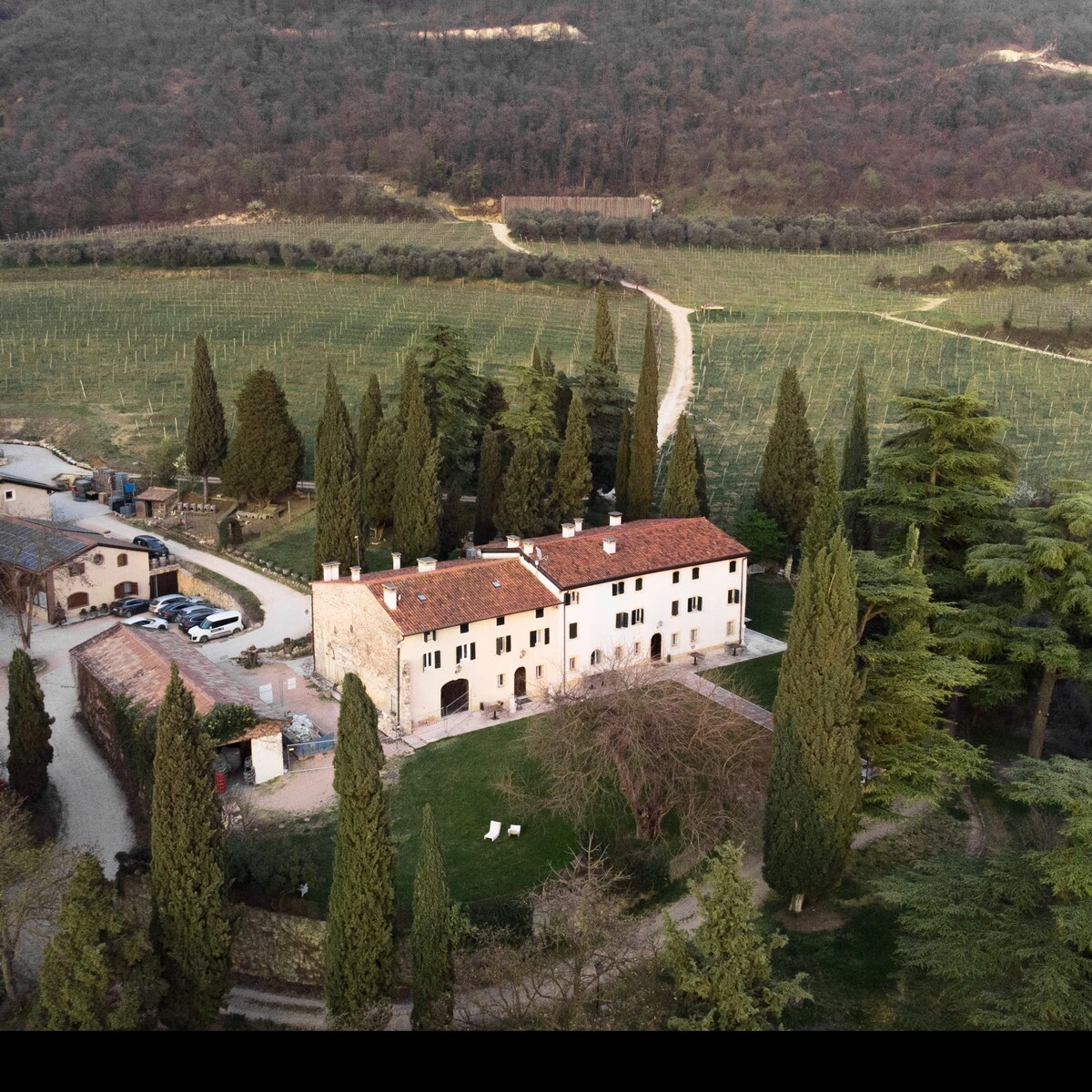 Wine Relais in Valpolicella -Apartment Olivo