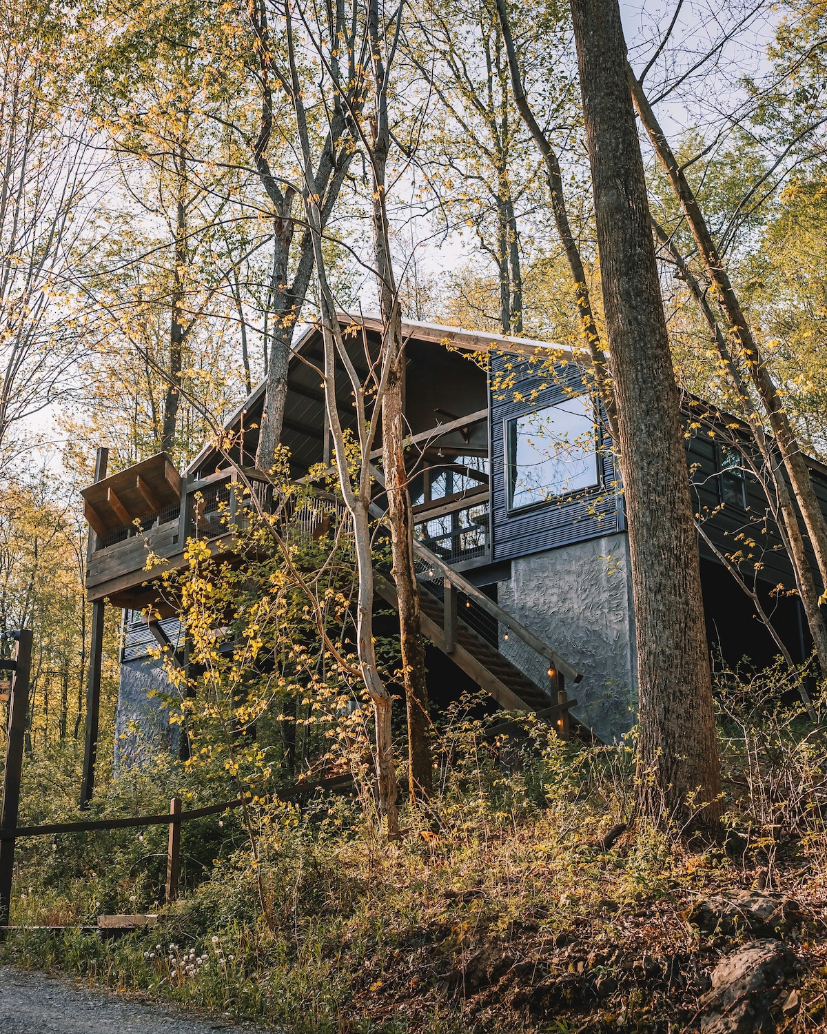 Treehouse Village - Treehouse Lodge