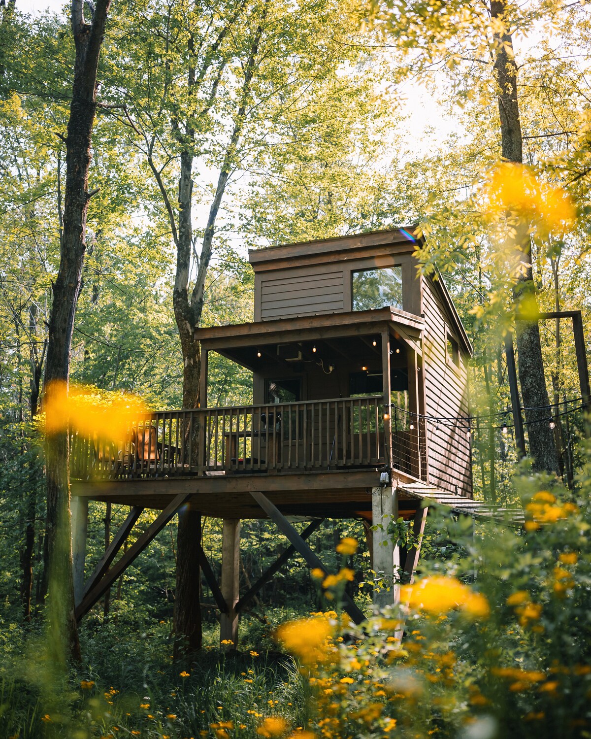 Treehouse Village - The Shack