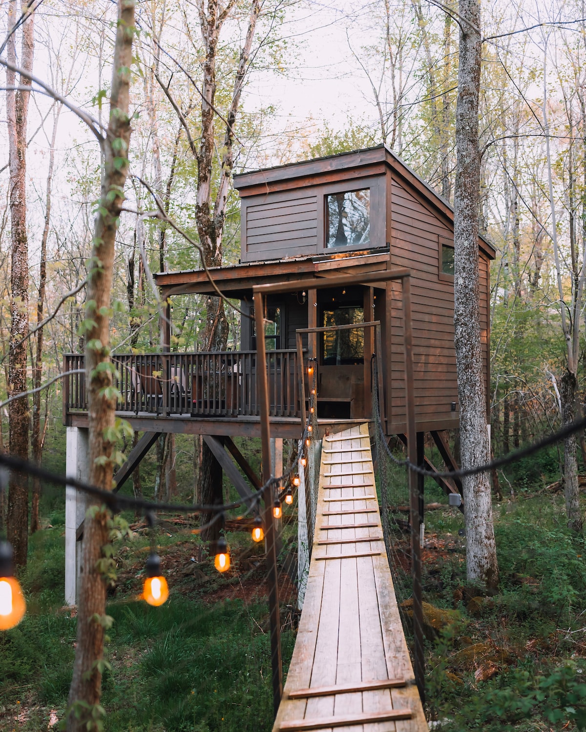 Treehouse Village - The Shack