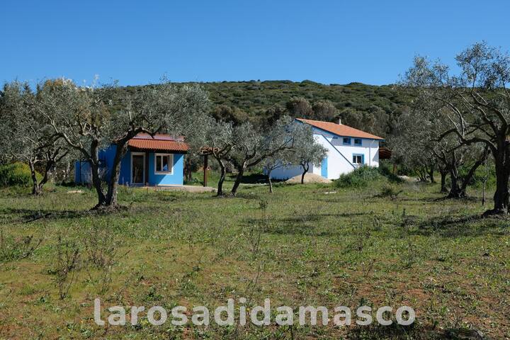 Olmedo, Sardinia的民宿