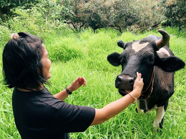 清迈的民宿