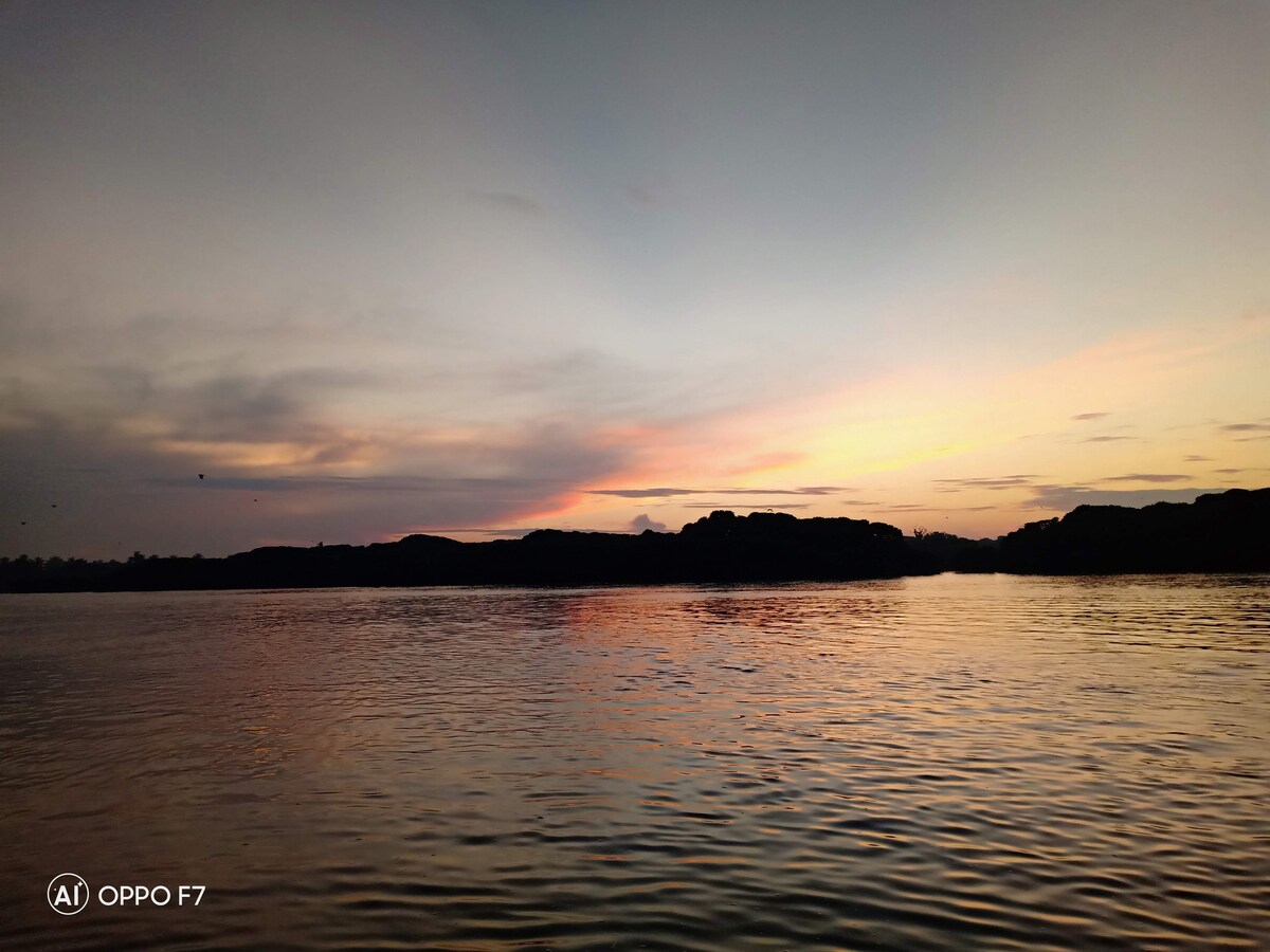 Aurora Lagoon Front -红树林和泻湖