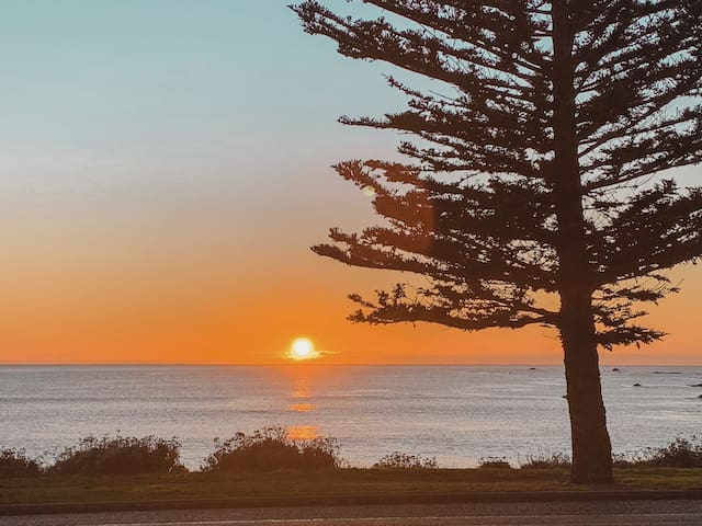 凯库拉(Kaikoura)的民宿