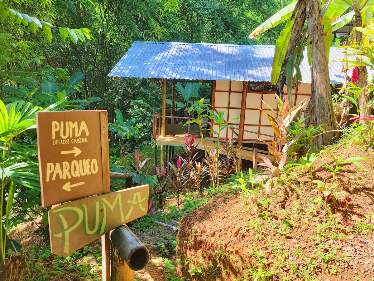Puma Private Cabina at the Waterfall Jungle
