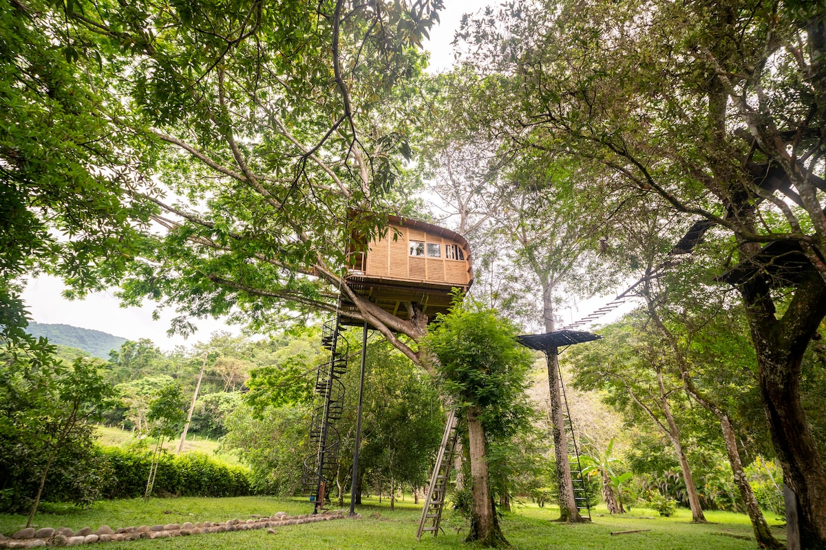 Casa del árbol en Tobia, un lugar único y mágico.