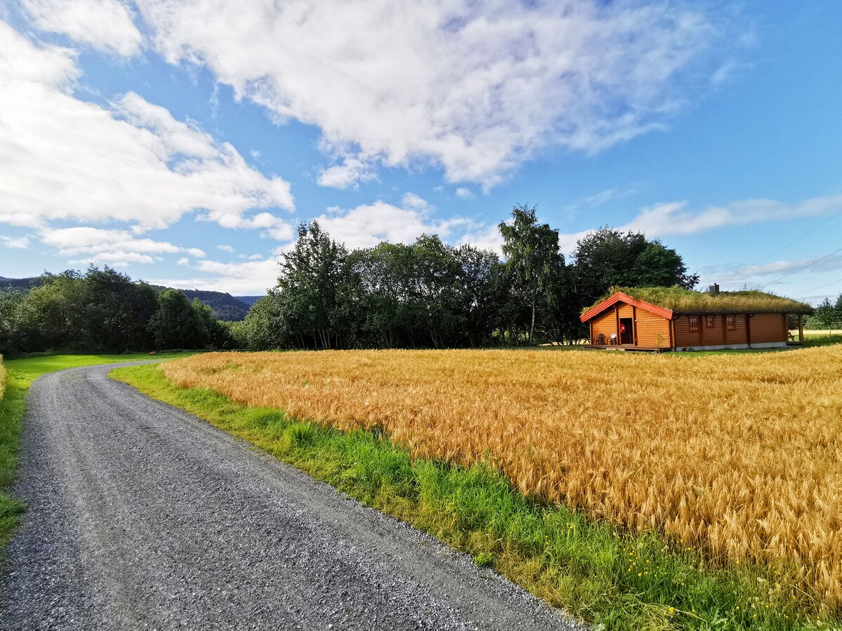 Hytte med laksefiske i Stjørdalselva