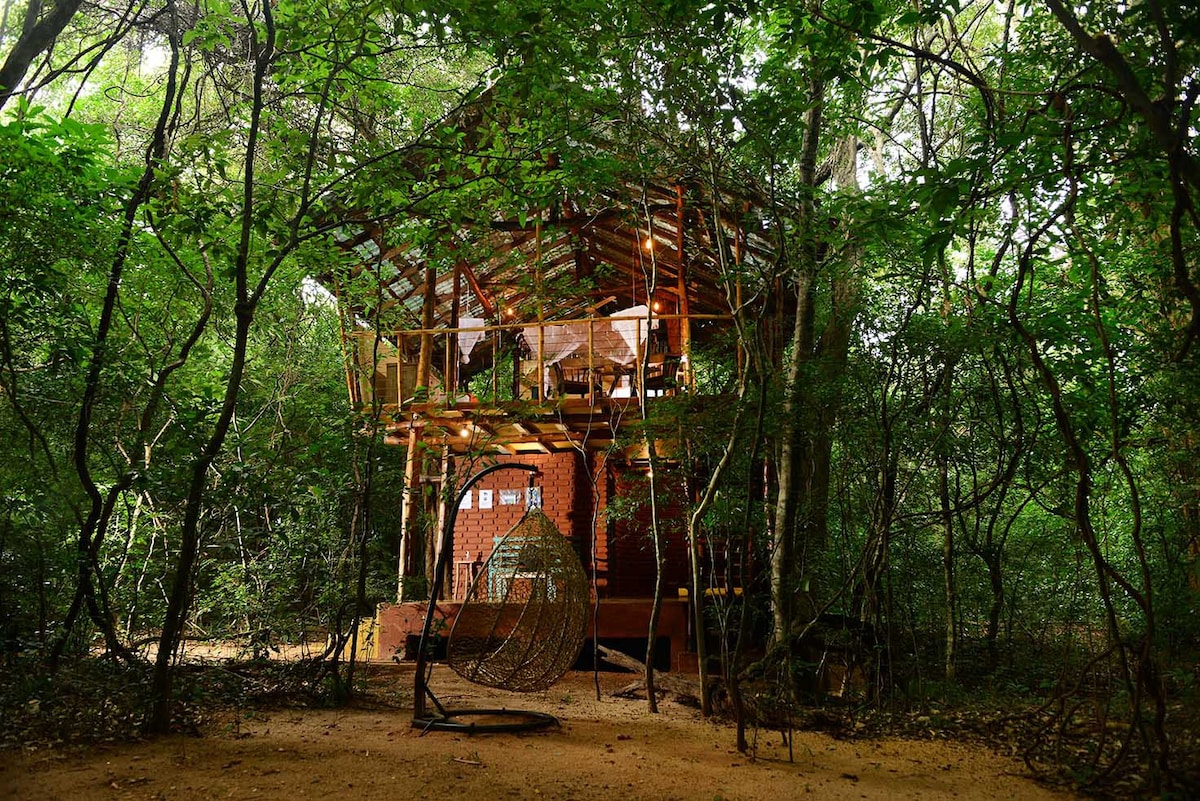 Sigiriya & Pidurangala Rocks附近的树屋