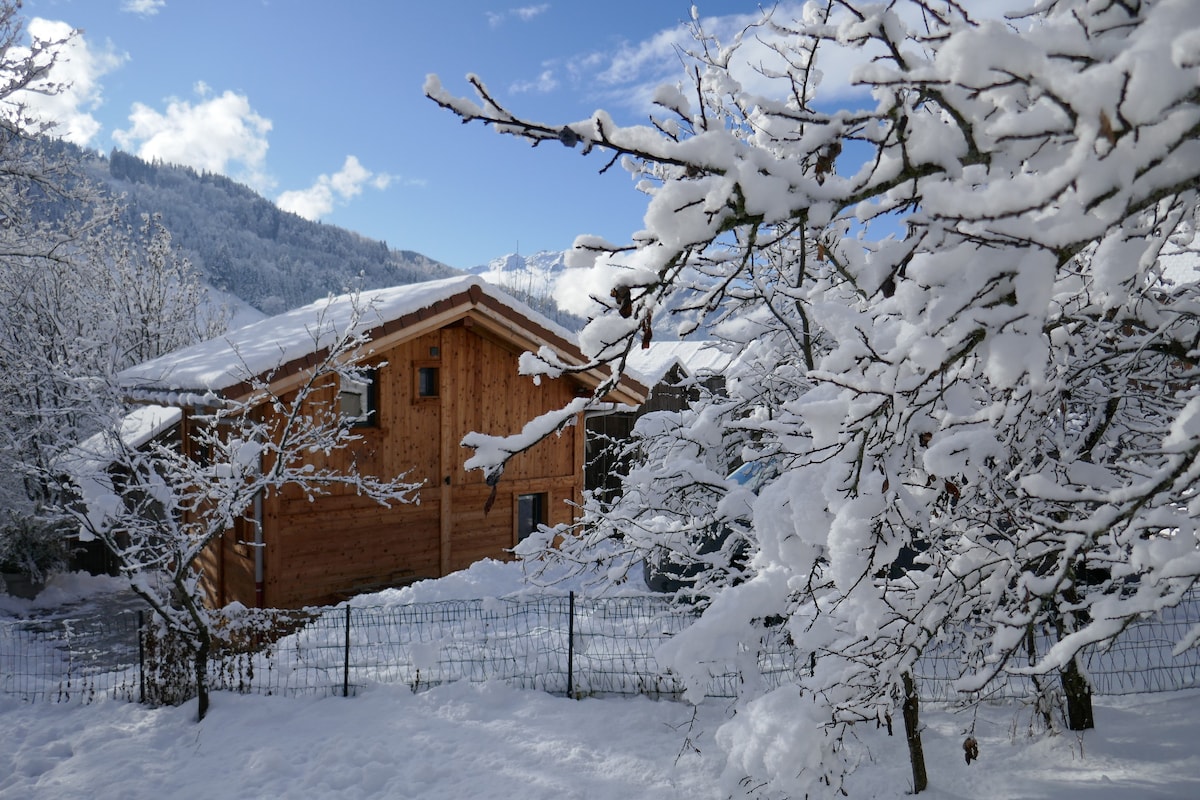 Chalet proche La Clusaz, Grand Bornand, Annecy