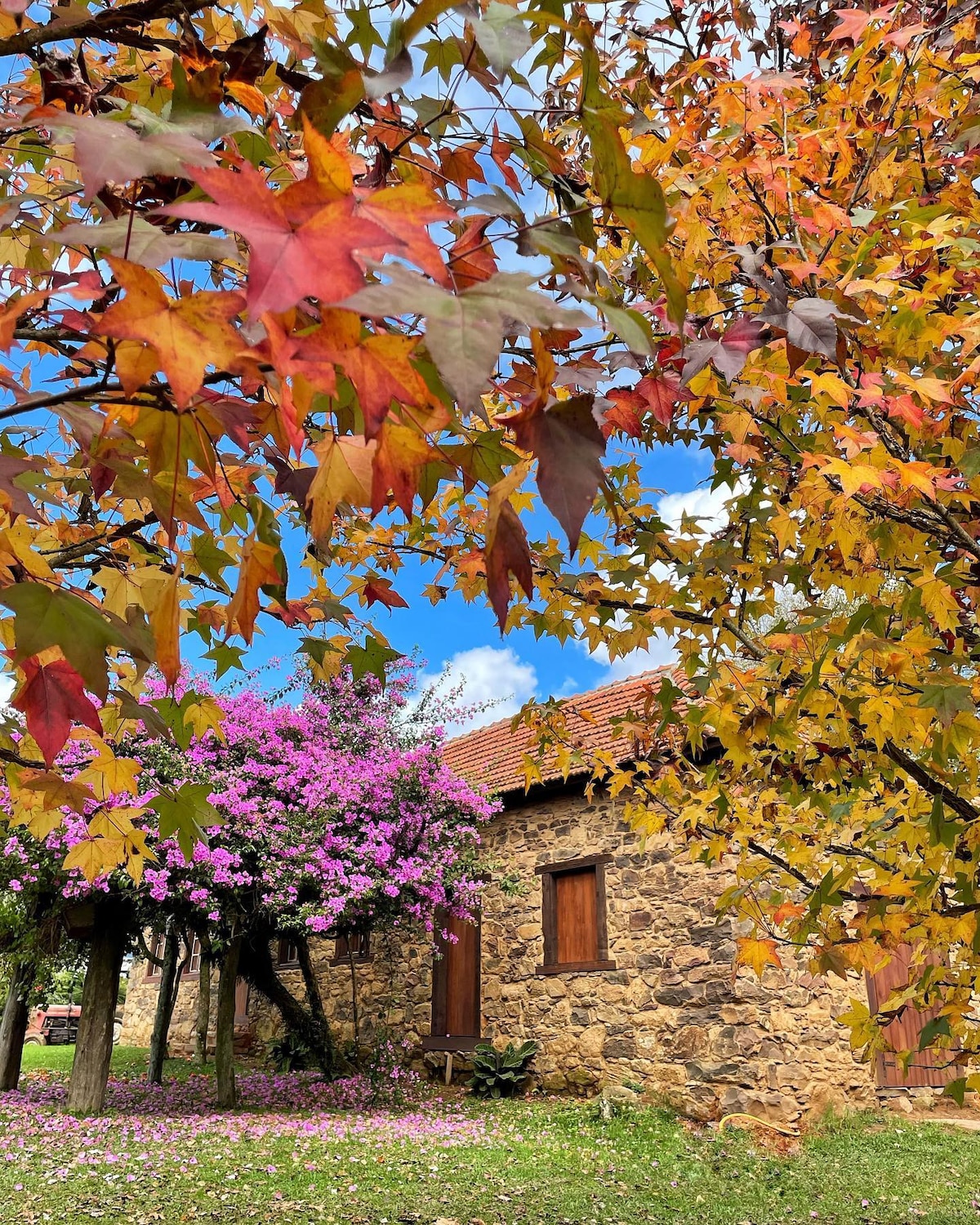 Casa no Vale  com vista a uma casa antiga de 1880