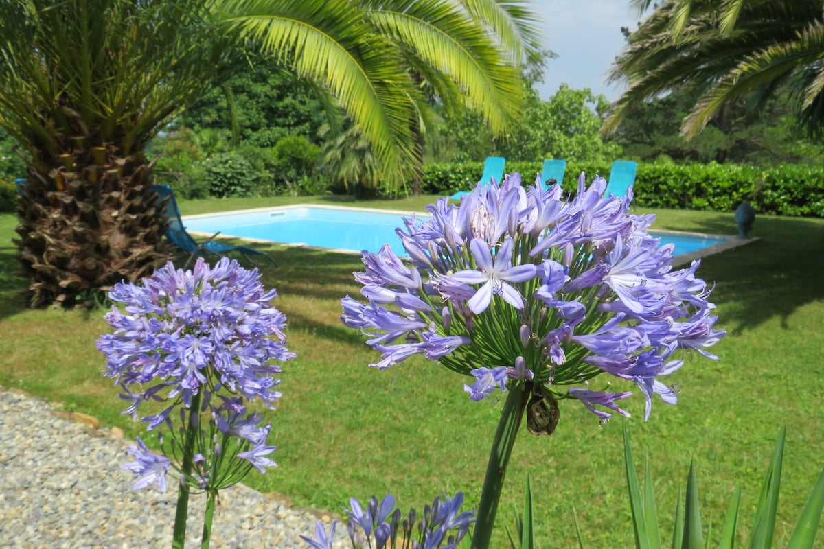 Villa d'architecte avec piscine et vue superbe